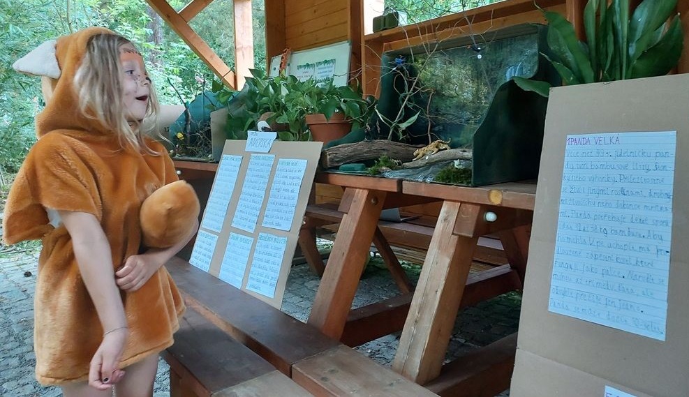 Žáci základní školy prezentují své projekty